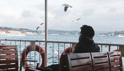 世预赛官网app下载-米勒25分布里奇斯19分 黄蜂狂胜篮网31分